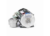 Leeson K2101 Model#: 5K49FN6381 HP: 1/3 RPM: 1200 Frame: 56 Enclosure: EPFC Phase: 3 Voltage: 230/460 HZ: 60This model has 0.33 