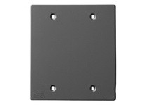 Hubbell Wiring KP24BK FACEPLT KP SER 2-G BLANK BLK | YarinInd