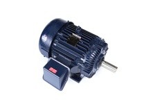 Marathon L426A 404TTFS16103 50HP 900RPM 404T Frame | TEFC 3 Phase Motor