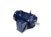 Marathon L471A 449TTFS16102 250HP 900RPM 447/449TZ frame totally enclosed fan cooled 3 phase 460 volt 60 hertz electric motorThi