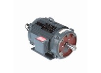 Leeson LM04003 Encoder Motors, TENV, 5 HP, 3 Ph, 60 Hz | YarinInd