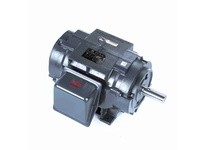 Leeson LM29853 30 HP Elevator Duty Motor, 3 Phase, 1800 RPM | YarinInd