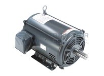 LM30097 30HP 3600RPM 256T ODP 200V 3PH 60HZ ELEVATOR 40C 1.0SF