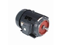 Leeson LM32654 General Purpose Motors, TEFC, 25 HP, 3 Ph | YarinInd