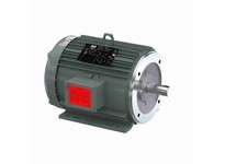 Leeson LM33617 5 HP Special Voltage Motor, 3 phase, 1800 RPM, 575 V, 184TC Frame, TEFC5 HP Special Voltage Motor, 3 phase, 1800 