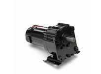 Leeson M1115024.00 0.05 HP DC Gearmotor, 5 RPM, 90 V | Industrial Solutions