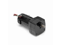 Leeson M1125002.00 0.06 HP DC Gearmotor, 30 RPM, 90 V, 30 Frame, TENV0.06 HP DC Gearmotor, 30 RPM, 90 V, 30 Frame, TENV