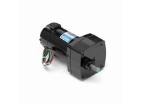 Leeson M1125033.00 0.06 HP DC Gearmotor, 300 RPM, 180 V | Industrial Supplies
