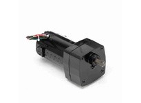 Leeson M1125036.00 0.06 HP DC Gearmotor, 60 RPM, 180 V | Reliable Industrial Gearmotor