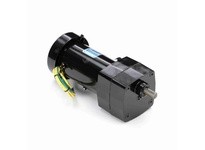 Leeson M1125128.00 0.06 HP AC Gearmotor, 1 Phase, 19 RPM | YarinInd