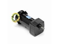Leeson M1125133.00 0.06 HP AC Gearmotor, 1 phase, 283 RPM, 115 V, 31 Frame, TEFC0.06 HP AC Gearmotor, 1 phase, 283 RPM, 115 V, 3