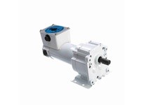 Leeson M1125262.00 0.13 HP DC Gearmotor, 31 RPM, 90 V, 31 Frame, TENV0.13 HP DC Gearmotor, 31 RPM, 90 V, 31 Frame, TENV