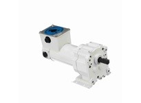 Leeson M1125265.00 0.13 HP DC Gearmotor, 167 RPM, 90 V, 31 Frame, TENV0.13 HP DC Gearmotor, 167 RPM, 90 V, 31 Frame, TENV