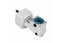 Leeson M1125268.00 0.13 HP DC Gearmotor, 14 RPM, 90 V | Industrial Supplies