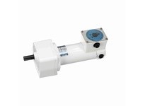 Leeson M1125271.00 0.25 HP DC Gearmotor, 250 RPM, 90 V, 32 Frame, TENV0.25 HP DC Gearmotor, 250 RPM, 90 V, 32 Frame, TENV
