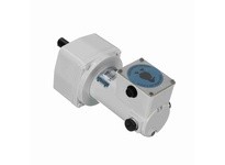 Leeson M1125273.00 PE350.PARALLEL..180:1.14RPM.341LBIN.1/8HP.31..TRIPLE.WASHGUARD.12V.DC.TENV.CM31D25VZ2BPE350.PARALLEL..180:1.1