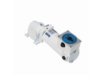 Leeson M1125277.00 0.25 HP DC Gearmotor, 62 RPM, 90 V, 32 Frame, TENV0.25 HP DC Gearmotor, 62 RPM, 90 V, 32 Frame, TENV