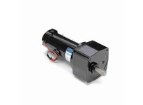 Leeson M1135113.00 0.25 HP DC Gearmotor, 500 RPM, 90 V | Industrial Supplies