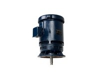 Marathon M735 365TTDS16086 50HP 1200RPM 365HPV frame drip proof 3 phase 230/460 volt 60 hertz electric motorThis model has 50 ho